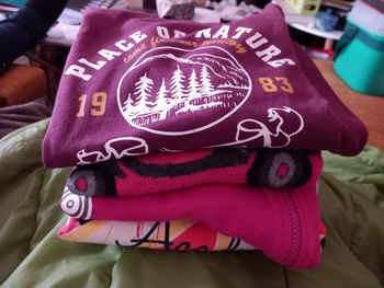 Lot 4 sweats et pull léger (14 ans)