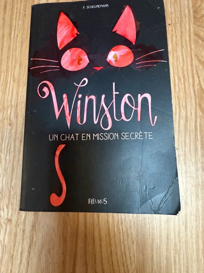 Winston un chat mission secrète