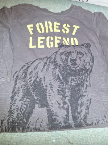 Tee shirt ours 6 ans