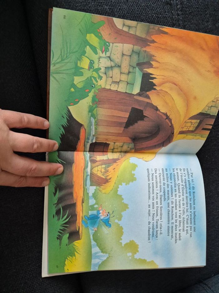Livrz Taram et le chaudron magique - photo numéro 3