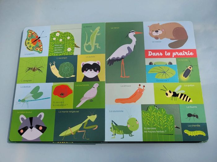 Grand livre à flaps 🦍 Mon Bel Imagier 🦜 Les animaux 🐆 73 - photo numéro 5
