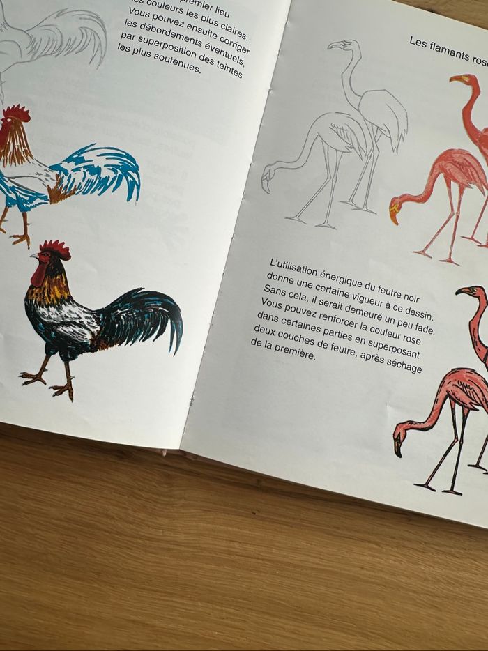 Livre dessin - photo numéro 4