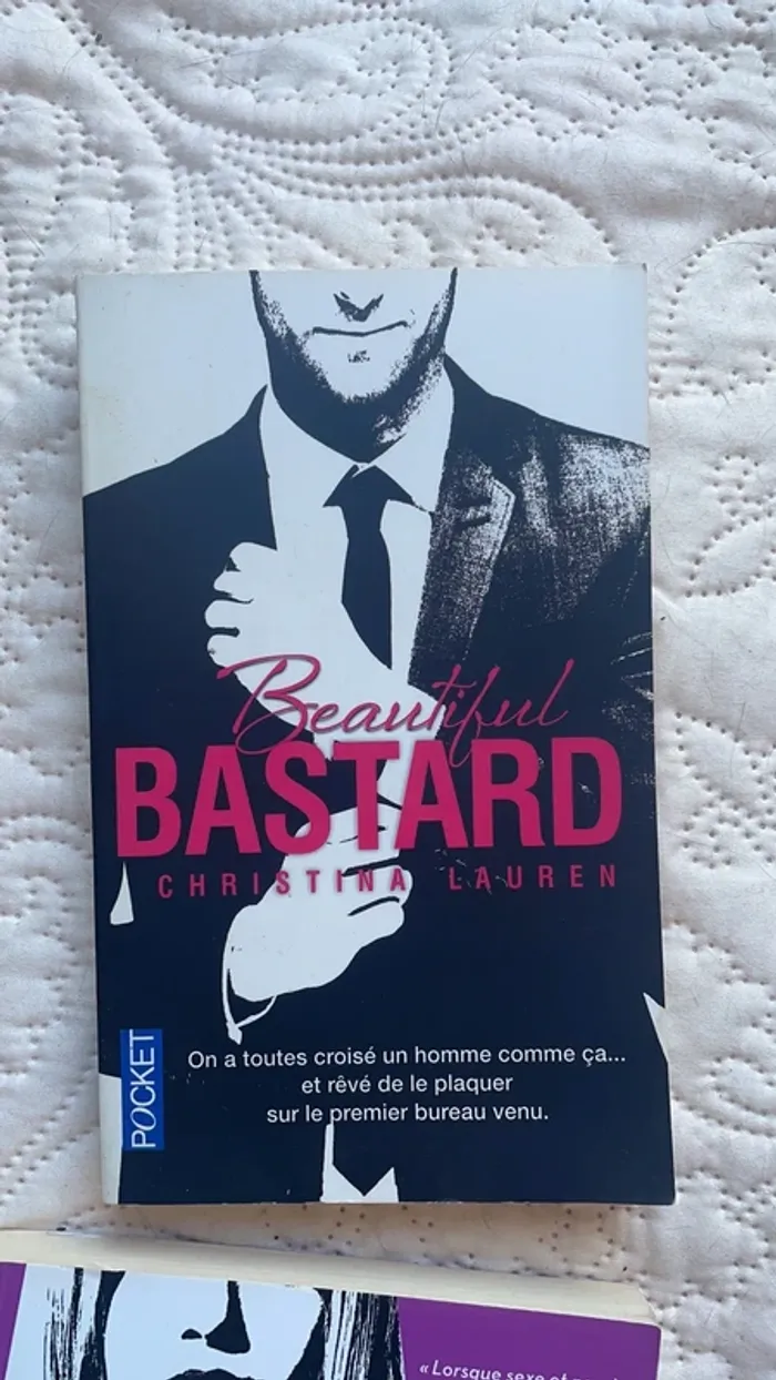 Série de livre beautiful de Christina Lauren - photo numéro 3