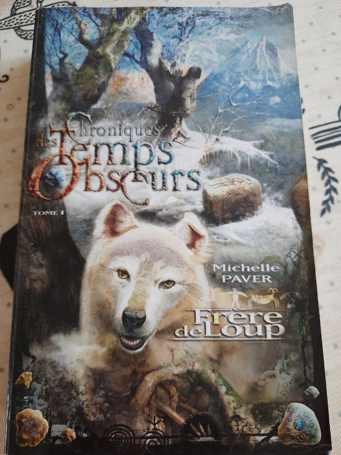 Les chroniques des temps obscurs. Tome 1