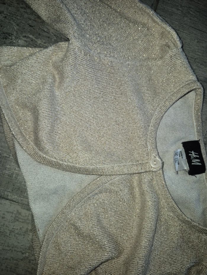 Gilet 7 ans - photo numéro 2