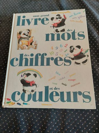 Mon grand livre des mots, des chiffres et des couleurs