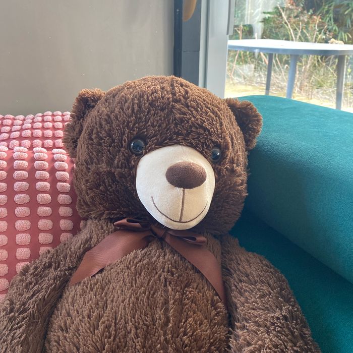 Ours en peluche marron - photo numéro 2