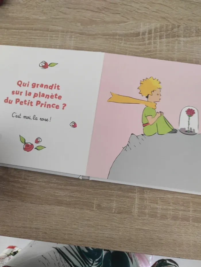 Livre bebe - photo numéro 3