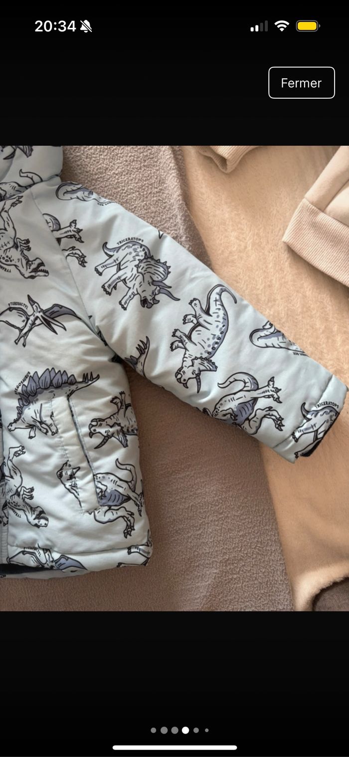 Manteau dinosaure bébé primark - photo numéro 5