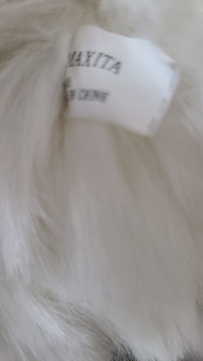 doudou chat - photo numéro 4