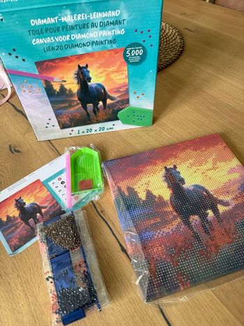 Diamond painting cheval 