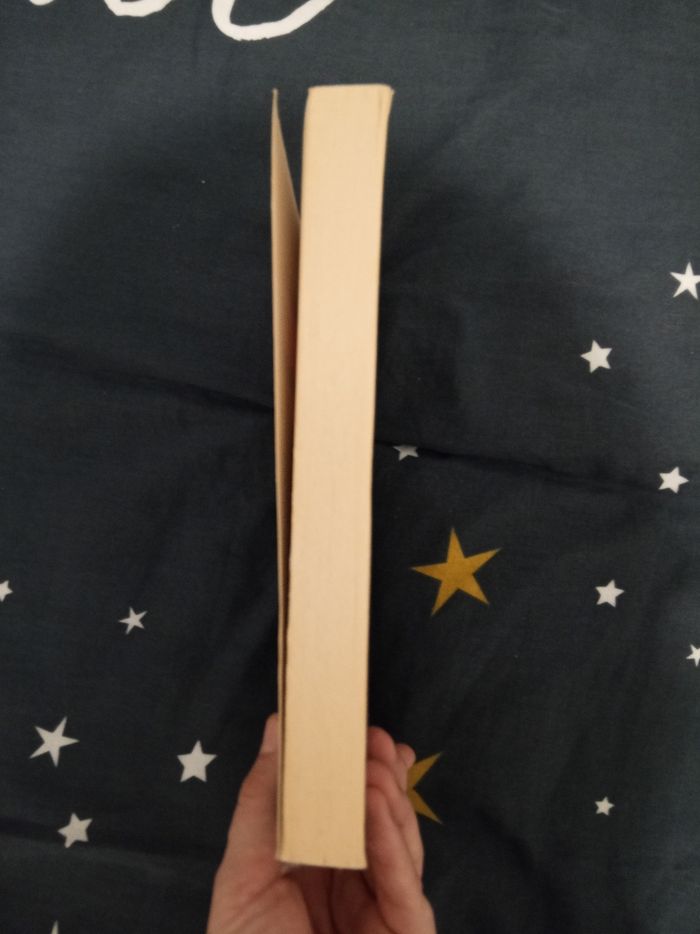 Livre (79) 📚 L'immortel - photo numéro 4