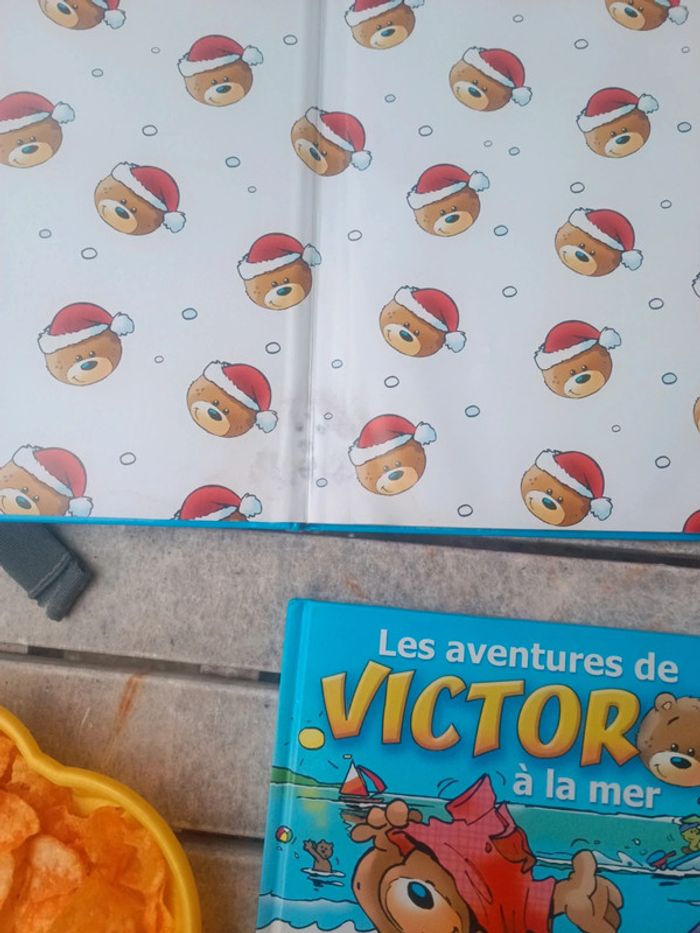 Lot de livres Victor - photo numéro 2