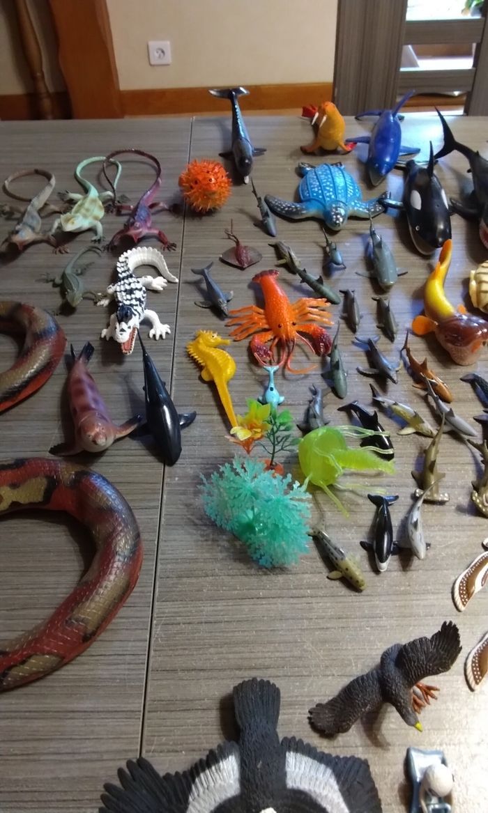 Lot animaux - photo numéro 5