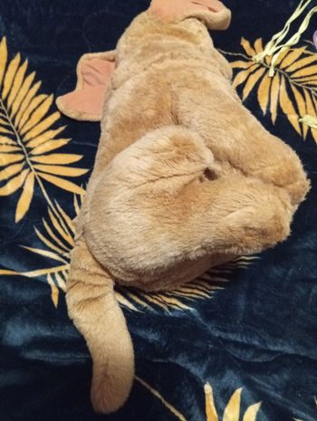 Peluche doudou chien 🐕