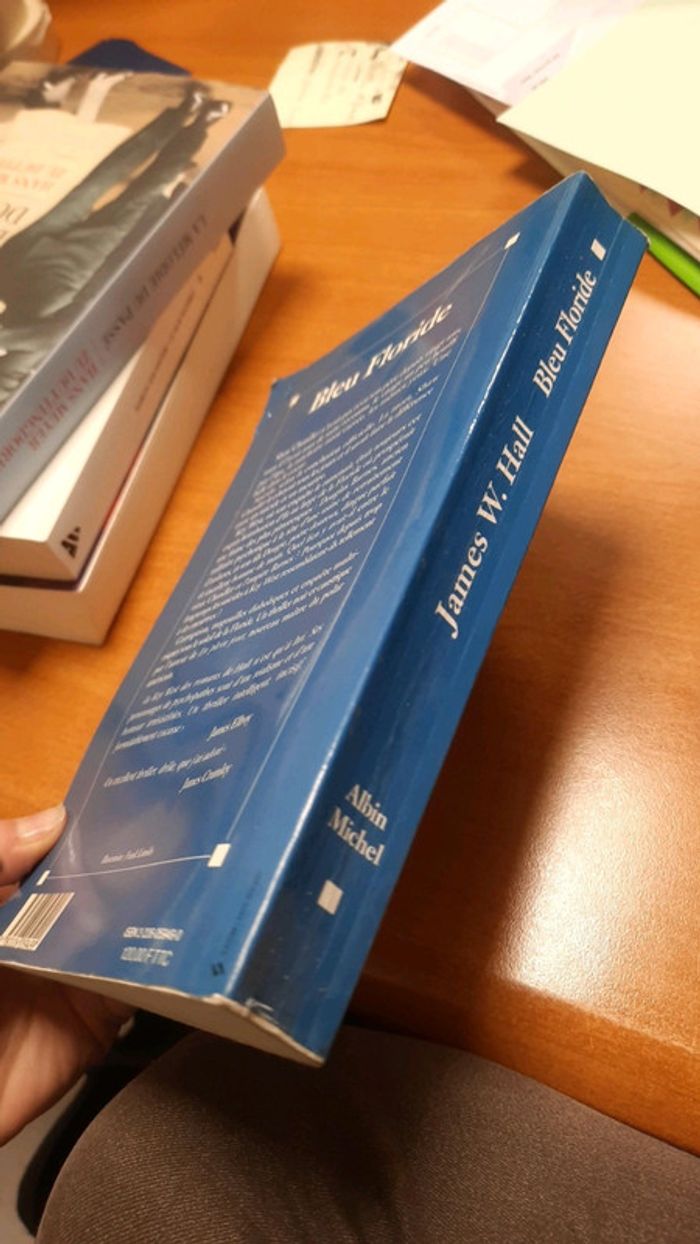 Livre bleu floridd - photo numéro 3