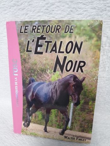 Livre le retour de l'étalon noir