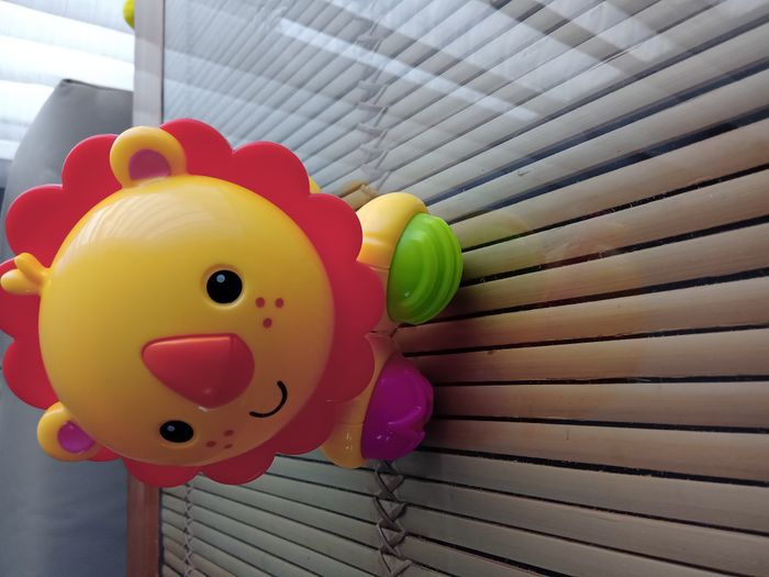 Mon ami Le lion Fisher Price Neuf