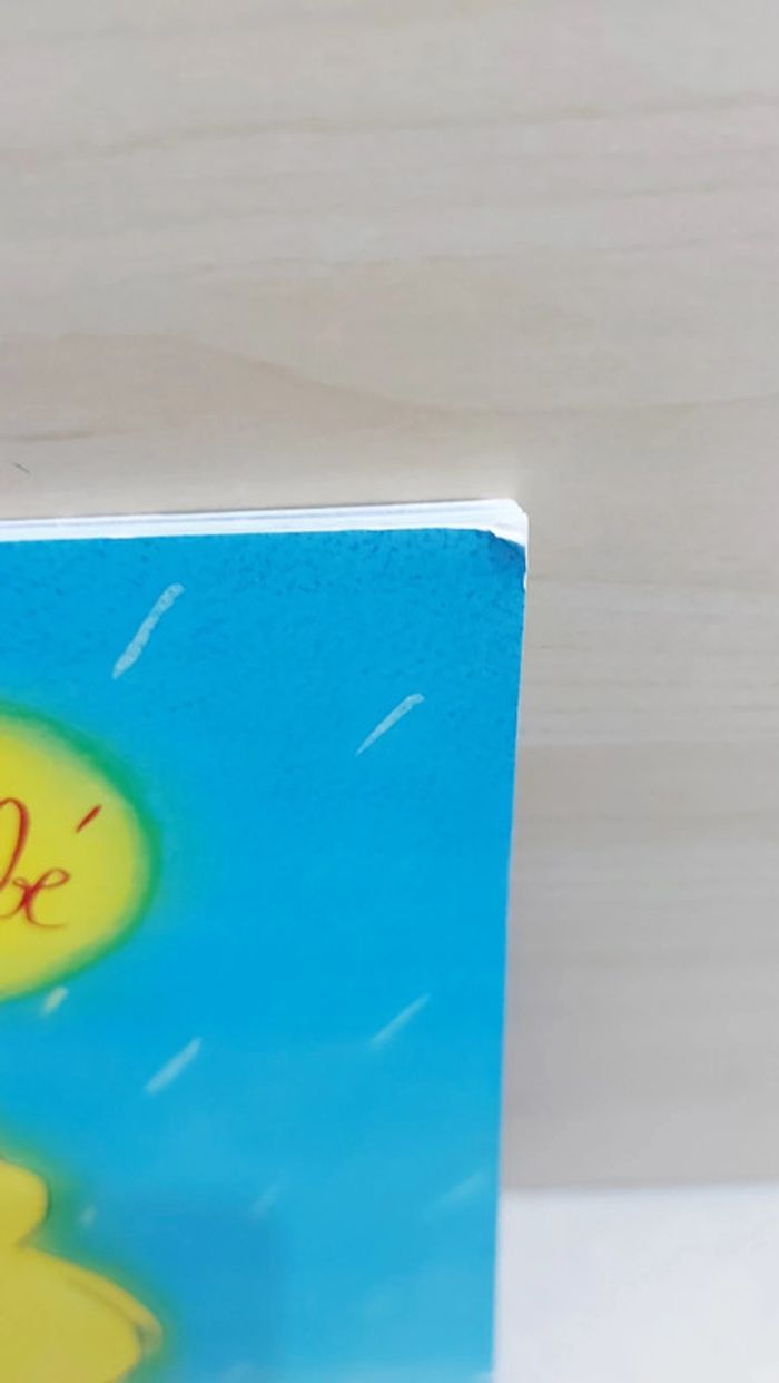 🌺 Livre (école des loisirs) : Soleil tombé - photo numéro 7