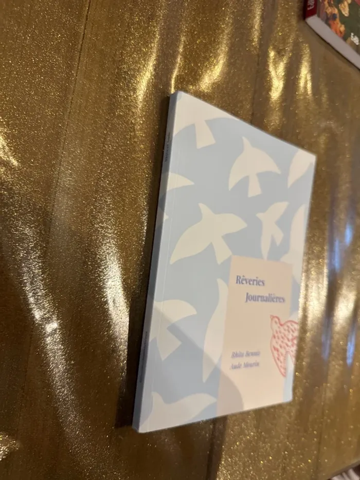 Livre rêverie, journalières - photo numéro 2