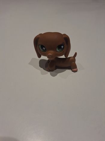 Petshop teckel marron