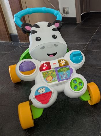 Marcheur Trotteur Zebre