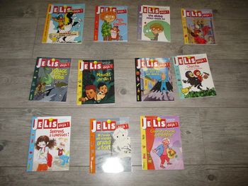 lot de 11 livres je lis déjà de Fleurus