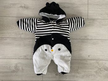 Combipilote pingouin (9 mois)