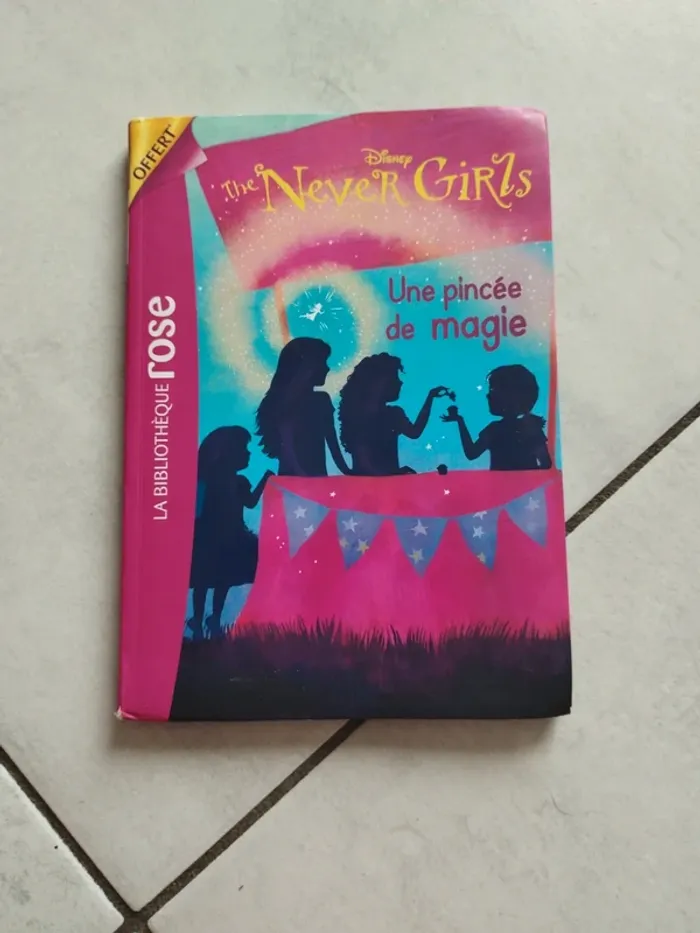 Livres divers Bibliothèque Rose - photo numéro 5