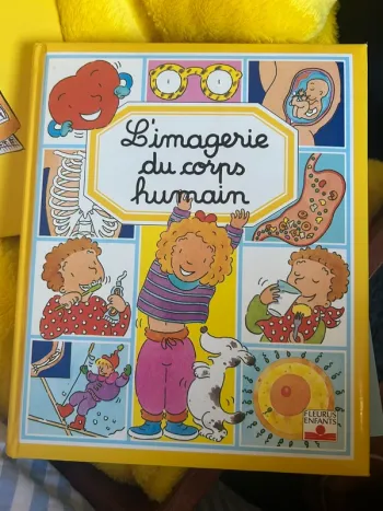L imagerie du corps humain