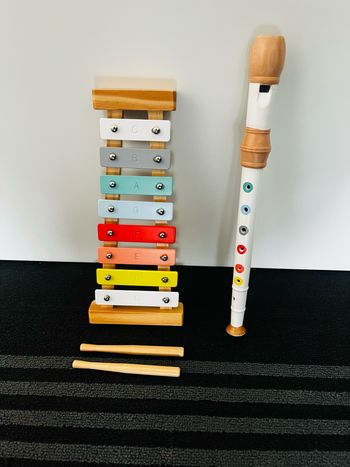 Instruments de musique en bois FSC Vertbaudet