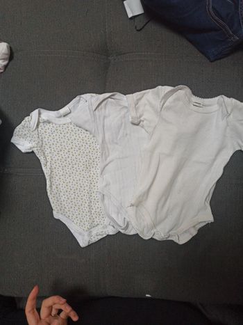 Lot bodies manches courtes mixte