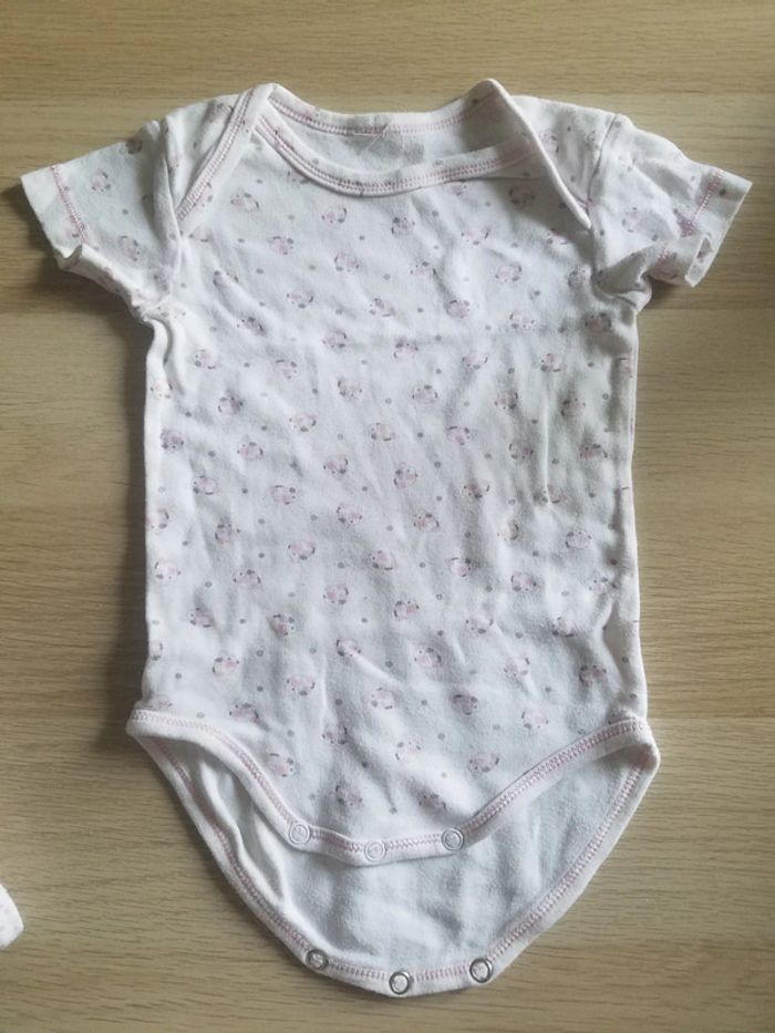 Lot 3 bodies fille 12 mois - photo numéro 2