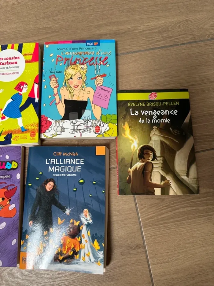 7 romans à partir de 9-10 ans - photo numéro 3