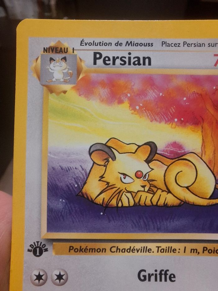 Persian Edition 1 Jungle Wizards - photo numéro 2