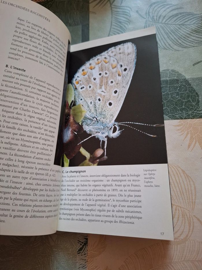 L' ABCdaire des orchidées - photo numéro 9