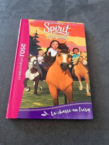 Livre bibliothèque rose Spirit tome 3