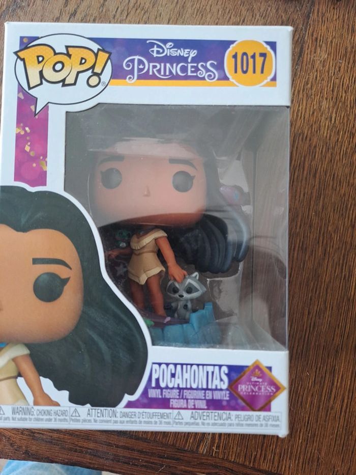 Pocahontas 1017 - photo numéro 5