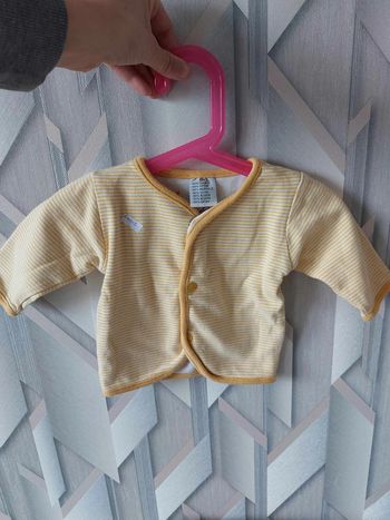 gilet jaune a rayure