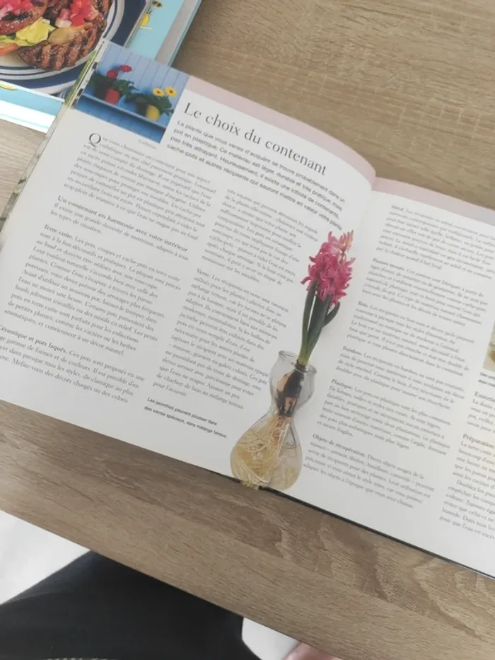 Livre guide sur les plantes d'intérieur - photo numéro 4