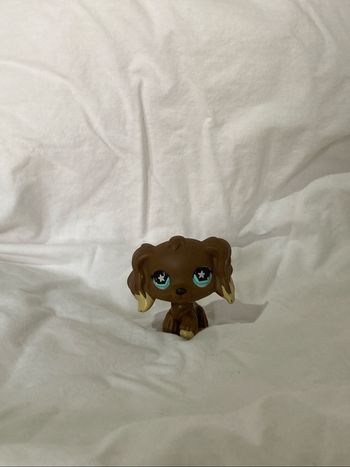 lps cocker