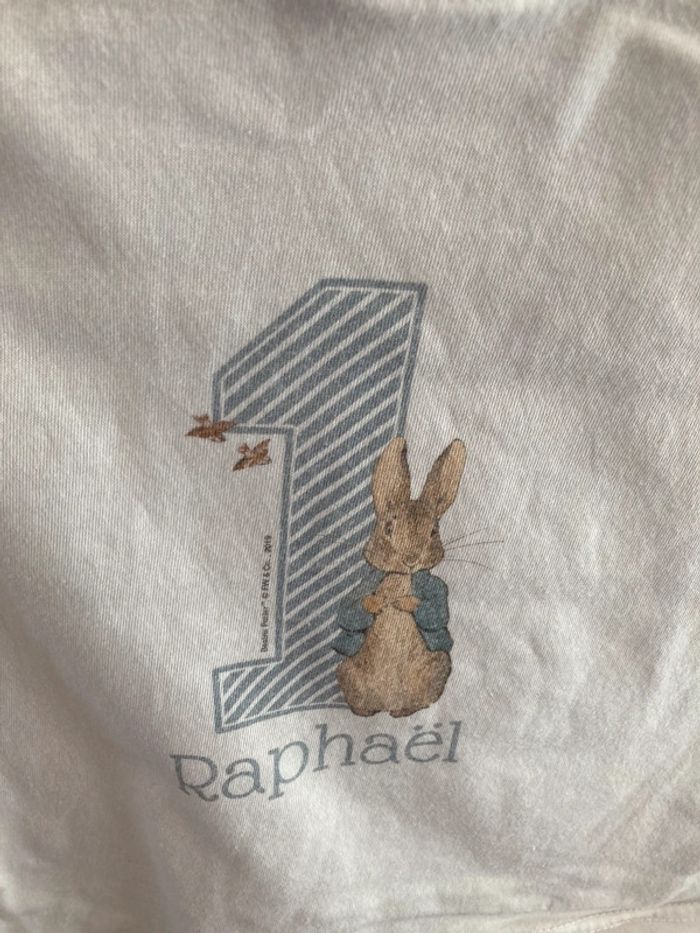 Tee-shirt Pierre Lapin prénom Raphaël - photo numéro 2