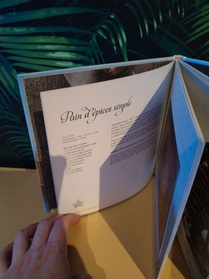 Livre de recette pain d'épices - photo numéro 4