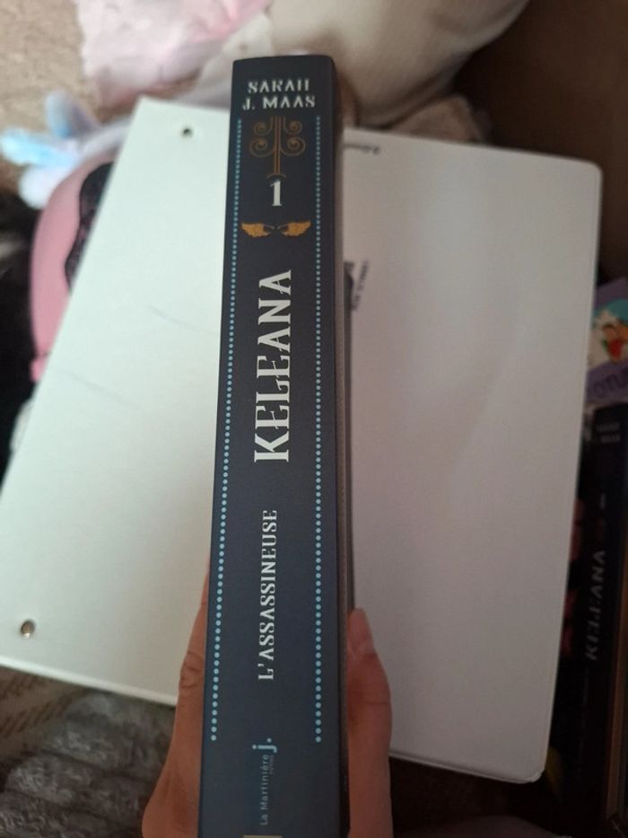 Keleana. Tome 1. L'assassineuse - photo numéro 3