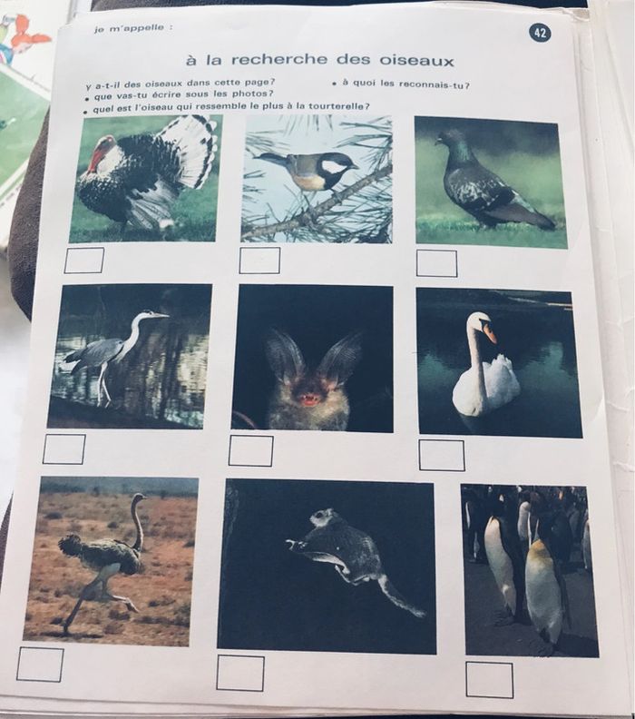 Activités d’éveil pour les 5 à 7 ans - photo numéro 2