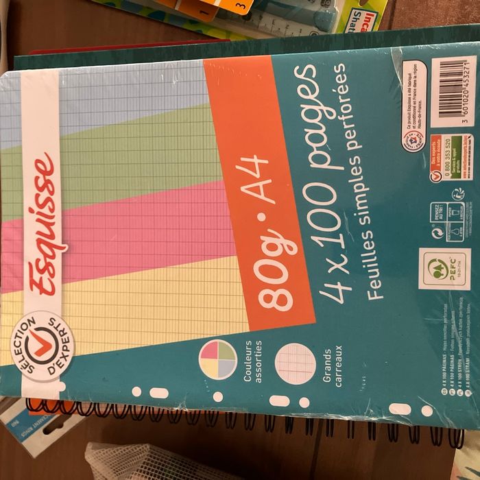 Feuilles simples perforées 4x100 pages A4 couleurs assorties grands carreaux