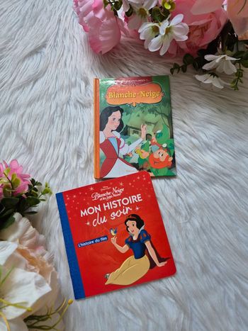 Lot 2 livres Blanche-Neige