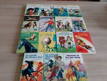 Lot de 15, bibliothèque verte, divers (18)