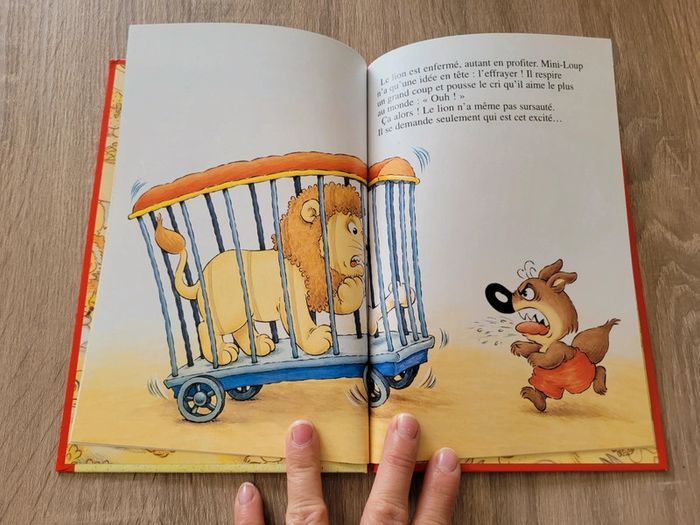Livres sur les fées et Mini-Loup + DVD Zouzous - photo numéro 8