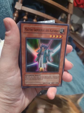 Carré maître samouraï des katanas